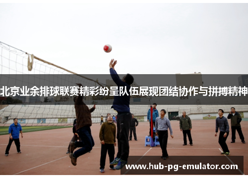 北京业余排球联赛精彩纷呈队伍展现团结协作与拼搏精神 北京业余排球联赛精彩纷呈队伍展现团结协作与拼搏精神