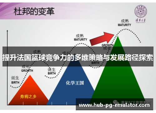 提升法国篮球竞争力的多维策略与发展路径探索 提升法国篮球竞争力的多维策略与发展路径探索