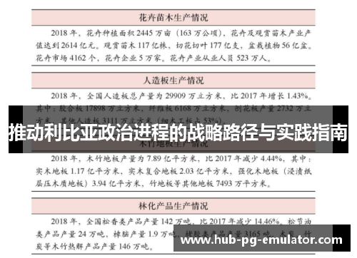 推动利比亚政治进程的战略路径与实践指南