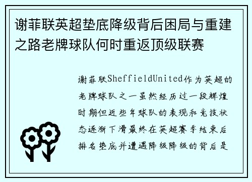谢菲联英超垫底降级背后困局与重建之路老牌球队何时重返顶级联赛