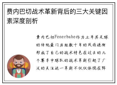 费内巴切战术革新背后的三大关键因素深度剖析